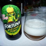 Fortuna Wild Sour Pigwa