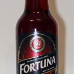 Fortuna Wiśniowa
