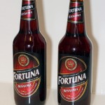 Fortuna Wiśniowa
