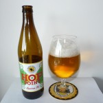 Hop Point American Pils