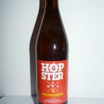 Hopster Na Południe