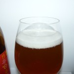 Hopster Na Południe