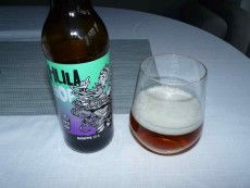 Hula Hop – White IPA