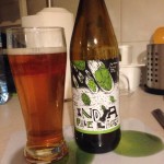 Zdjęcie dodane przez Iostrowski - Meteorit India Pale Lager