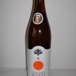 Jurajskie Witbier