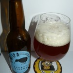 Kiwi IPA