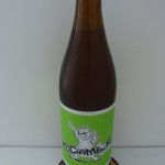 Kociamber