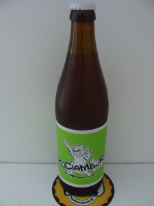 Kociamber