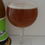 Kociamber