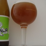 Kociamber