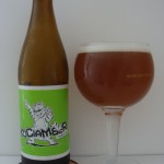 Kociamber