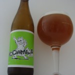 Kociamber