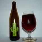 Księży Młyn American IPA