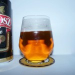 Kustosz Mocne