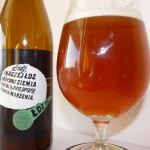 ŁDZ IPA