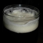Nepomucen Amber Ale