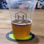 Nepomucen Chill