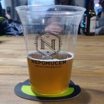 Nepomucen Chill