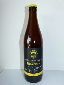 Niezdara
