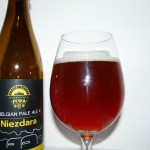 Niezdara