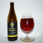 Niezdara