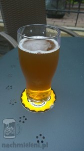 Pelikan (Czechy)