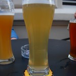 Pan Grodzin Grodziskie