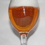 Pilsner Urquell (Czechy)