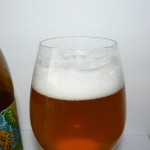 PINTA Brett IPA