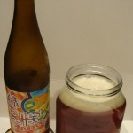 PINTA Ce n’est pas IPA Ambree