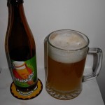 PINTA Grodziskie 3.0