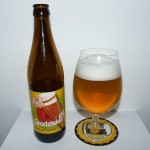 PINTA Grodziskie 5.0