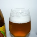 PINTA Grodziskie 5.0