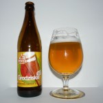 PINTA Grodziskie 5.0