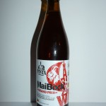 PINTA MaiBock Grand Prix