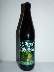 Piotrek z Bagien American Pils