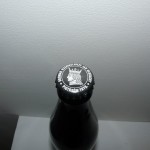 Piotrek z Bagien American Pils