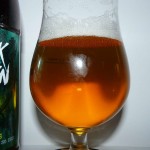 Piotrek z Bagien American Pils