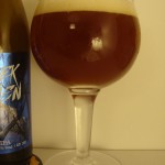Piotrek z Bagien Belgian IPA