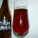 Piotrek z Bagien Pumpkin Ale