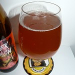 Piotrek z Bagien Summer Ale