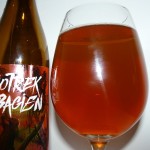Piotrek z Bagien Summer Ale