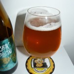 Piotrek z Bagien White IPA