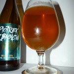 Piotrek z Bagien White IPA