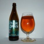 Piotrek z Bagien White IPA