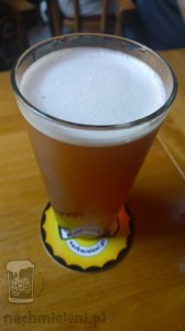 Piwo Łowickie AIPA