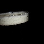 Piwo Łowickie Pale Ale
