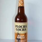 Płocha Gocha
