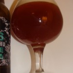 Polaris Single Hop IPA