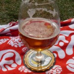 Punk IPA (Szkocja)